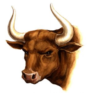 برج الثور