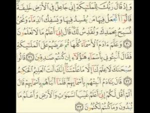 سورة البقرة من الاية 29إلى 37